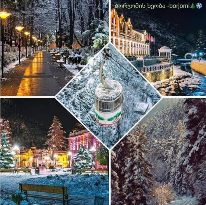 Gamsakhurdia Street Bordžomi Exteriér fotografie